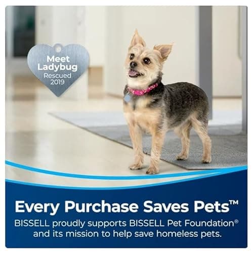 Bissell Pet Stain Eraser Duo, Black 7