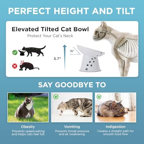 Necoichi Raised Cat Food Bowl – Ceramic Elevated 15° Tilted Cat Bowl for Whisker & Neck Fatigue, Dishwasher Microwave Safe Non-Slip Anti Vomiting Ergonomic Design (Extra Wide Tilted, 1.5-Cup Capacity) 7