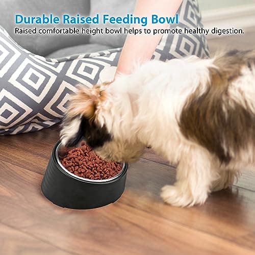 Uppetly Slanted Small Cat Food Bowl 0.5 Cup, 15° Tilted Stainless Steel Mini Dog Puppy Food Bowl, Non-Slip & Non-Spill Small Kitten Pet Feeder with Elevated Detachable Melamine Stand, Easy to Get Food 7