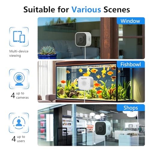 NyteElf 3MP Window Cameras for Home Security,Security Camera, 2K Full Color Night Vision, AI Human & Motion Detection, 24/7 Recording, Two-Way Audio, Easy Installation (White) 8