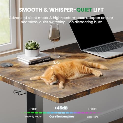 SIAGO Standing Desk 5