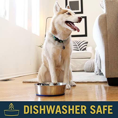 OurPet's DuraPet Premium Dishwasher Safe Stainless Steel Dog Bowl for Food or Water [Multiple Sizes for Small to Large Dogs] in Traditional or Wide Base Design - 8 CUP 5