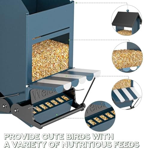 Squirrel Proof Bird Feeder for Outdoors with Canopy | 5LB Large Capacity, Weather-Resistant Design | Attracts Finches, Cardinals & More for Outdoor Bird Watching 6