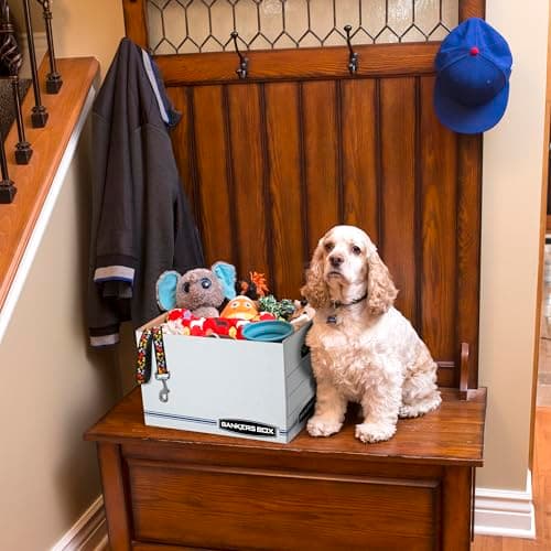 Bankers Box 12 Pack Standard Duty File Storage Boxes, Standard Assembly, Removable Lid, Letter/Legal (0071301) 8