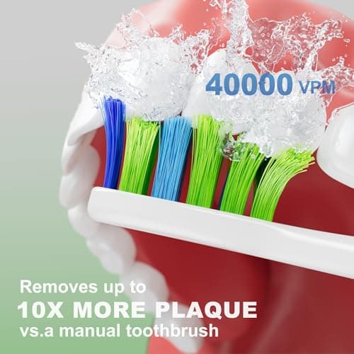 7AM2M Sonic Electric Toothbrush for Adults and Kids, 40000VPM Power Toothbrushes, Fast Rechargeable with 4 Brush Heads, 5 Modes, 2 Minutes Built in Smart Timer, One Charge for 60 Days (Green) 3