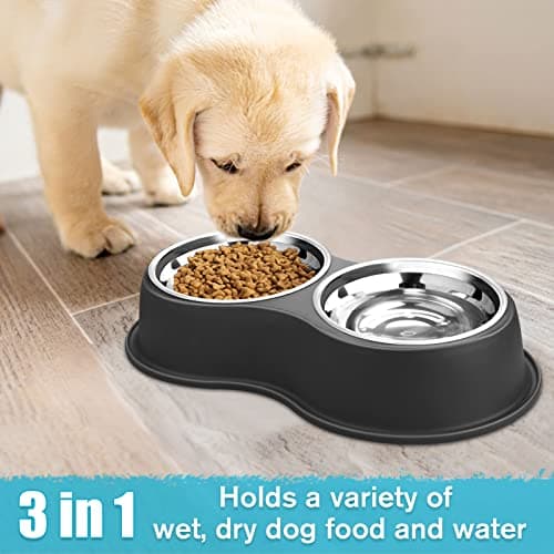Epetslove Dog Bowls Double Dog Water and Food Bowl Stainless Steel Bowl with Non-Slip Resin Station, Pet Feeder Bowls for Puppy Medium Dogs Cats 5