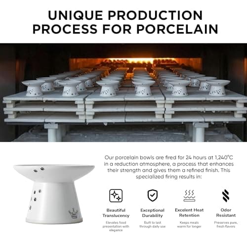 Necoichi Raised Cat Food Bowl – Ceramic Elevated Cat Bowl for Whisker & Neck Fatigue, Dishwasher Microwave Safe – Non-Slip & Anti Vomiting Ergonomic Design (Cats, Extra Wide, 2-Cups Capacity) 9