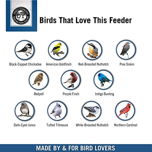 Droll Yankees Classic Sunflower or Mixed Seed Bird Feeder, Ring Pull Advantage, 6 Feeding Stations, 1 lb Bird Seed Capacity, 20-Inch 7