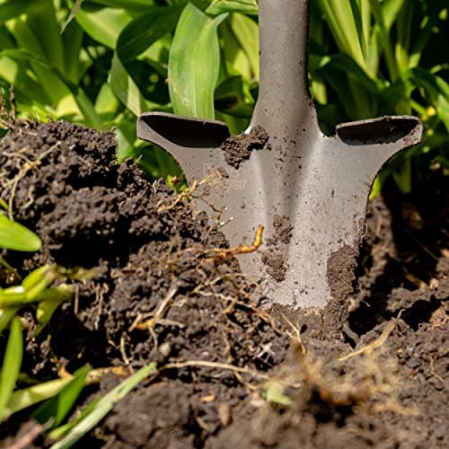 Root Slayer 23311 Perennial Garden Shovel with Serrated Blade for Digging and Root Cutting, Fiberglass Shaft, Heavy Duty Steel Spade, Red 7