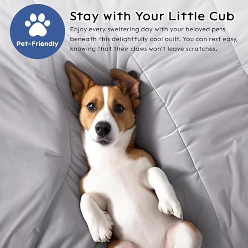 Bailix Cooling Comforter King Size, Thin Summer Blanket for Hot Sleepers & Night Sweats, Ultra Soft & Lightweight & Silk Smooth Ice Blanket, Q-Max>0.4, 108"x90", Gray 5