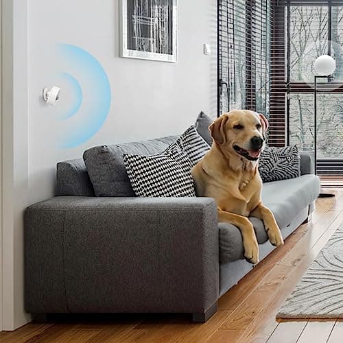 TP-Link Tapo Motion Sensor, Requires Tapo Hub, Long Battery Life w/Sub-1G Low-Power Wireless Protocol, Wide Range Detection, Adjustable Sensitivity, Real-Time Notification, Smart Action, Tapo T100 5