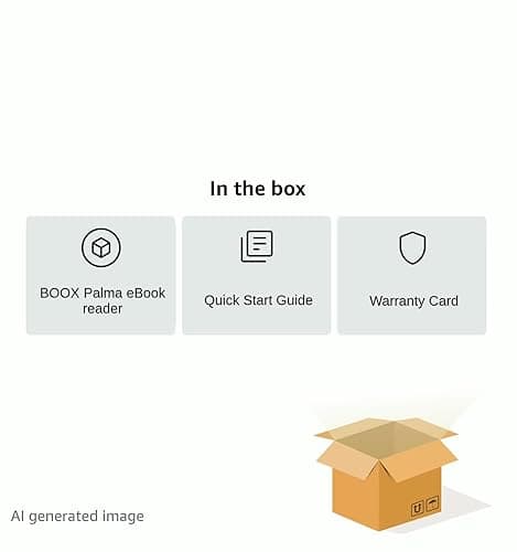 BOOX Palma eBook Reader Mobile ePaper 6G 128G G-Sensor Front Light 16MP Rear Camera (Black) 9