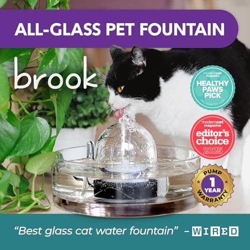 Brook Glass Pet Fountain (90oz/2.7L) – Cat & Dog Water Fountain – Glass Cat Fountain & Automatic Water Dispenser for Drinking 6