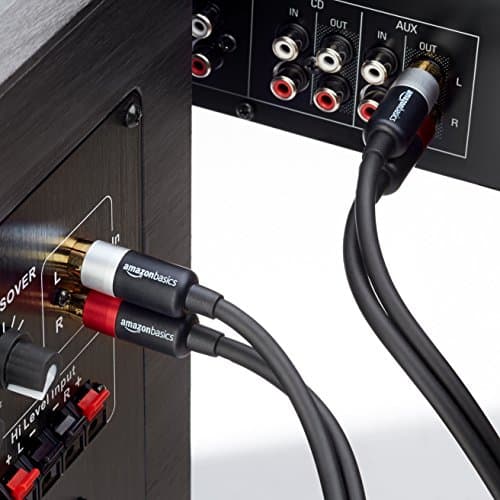 Amazon Basics 2 RCA Audio Cable for Amplifier,Active Speakers or Subwoofer with Gold-Plated Plugs, 4 Feet, Black 5