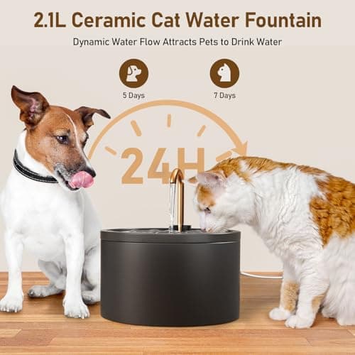 DOOOB Ceramic Cat Water Fountain, 2.1L/71oz Ceramic Cat Fountain, Automatic Ceramic Water Fountain for Cats, Pet Water Fountain with Ultra-Quiet Pump and 3 Filters & 3 Sponges (Black) 5