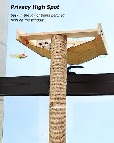 Cat Window Perch with Tall Scratching Posts, Inside 46" Climbing Tree Hammmock Mounted with Suction Cups for Sleeping,Playing and Watching Birds 7