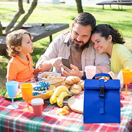 SUNNY BIRD Insulated Lunch Bag Rolltop Lunch Box Tote Lunchbox Bag for Women, Men, Adults and Kids (Blue) 8