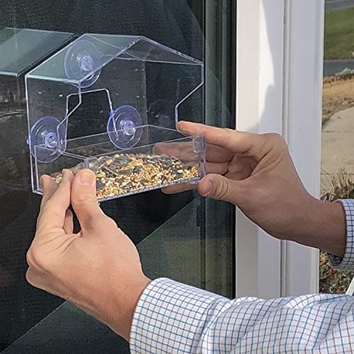 Perky-Pet Clear Outdoor Window Bird Feeder with Strong Suction Cups – 1/2 Lb Seed Capacity - Perky Pet 345 - Entertaining Bird Feeding - Watch Birds Eat Seeds 11