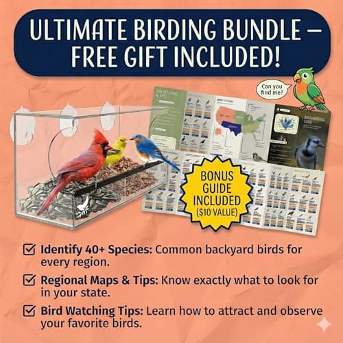 Window Bird Feeder by Nature’s Hangout - Award-Winning Clear Acrylic Bird Feeders for Outdoors, No Assembly, Strong Suction Cups, Bird Watching for Cats, Easy-to-Clean Birdhouse 8