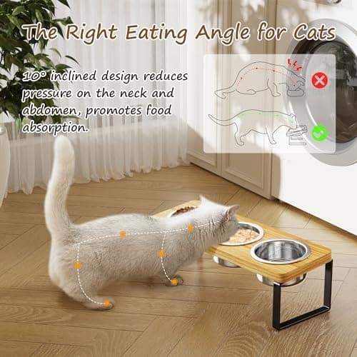 Elevated Cat Bowls with 3 Stainless Steel Bowls | 10° Tilted Anti-Vomiting Raised Cat Food Bowl for Small Cats and Puppies Pet Bowl with Stand 6