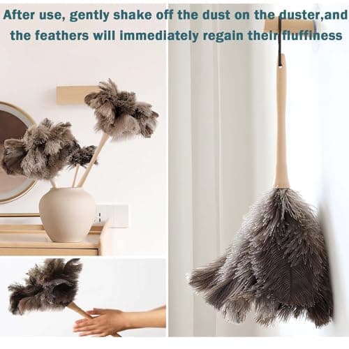 Ostrich Feather Duster for Cleaning-Furniture Dusters with Handle Ddzmz Hand Duster with Fluffy Natural Genuine Feather Reusable Household Duster, Gray and Brown(Length 16") 7