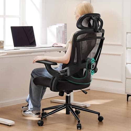 Sweetcrispy Ergonomic Desk Office Chair with 2D Headrest, Up&Down Lumbar Support, High Back Swivel Computer Task Mesh Chairs with Adjustable Flip-up Armrests, Inky Black