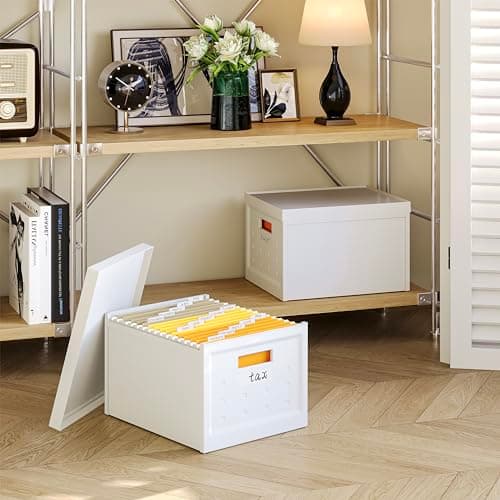 Seseno File Organizer File Box with Lid, Universal Hanging File Organizer, Letter/Legal Size File Folder Box, 2 Pack Plastic Office Document Filing Storage Bin 8
