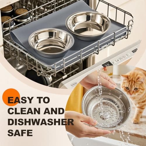 Cat Food Bowl for Indoor Cats - Elevated Stainless Steel Water Bowl, Tilted Raised Kitten Dish Set for Whisker Friendly and Anti Vomit, Feeding Station for Puppy and Pet 6