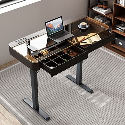 Lartis Office Desk, Electric Computer Lift Table Standing Desk with Drawer Charging USB Port, Home Office Laptop Table with Drawer
