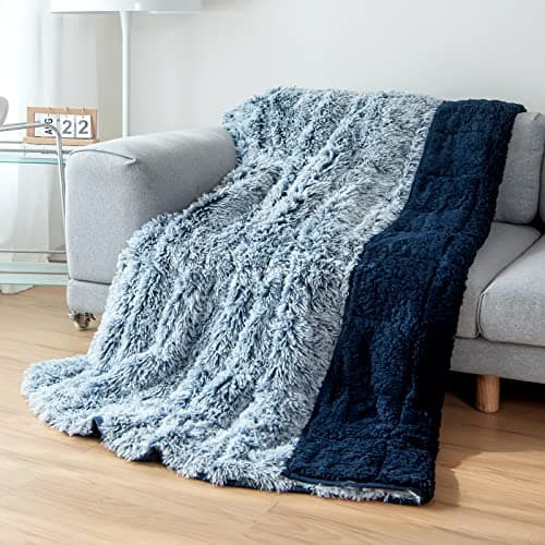 Cottonblue Weighted Blanket Queen Size 15lbs, Sherpa Faux Fur Reversible Luxury Shaggy Long Fur Warm Heavy Blanket 60x80 inches, Warm Plush Sherpa Microfiber Blanket for Couch Sofa Bed, Morandi Blue