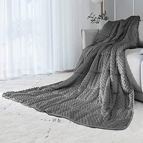 ALANSMA Reversible Weighted Blanket for All Season, Luxury Velvet, Warm and Cool, Adult 10Lb Grey Weighted Blanket, Enjoy Sleeping Anywhere(Grey,48"x72" 10lbs)
