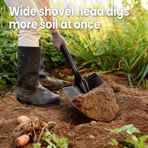 Shovel for Digging,Round Shovel, Garden Tool with D-Handle, 41 Inches in Overall Length, Wooden Handel Garden Shovel,Beach Shovel, Car Snow Shovel 5