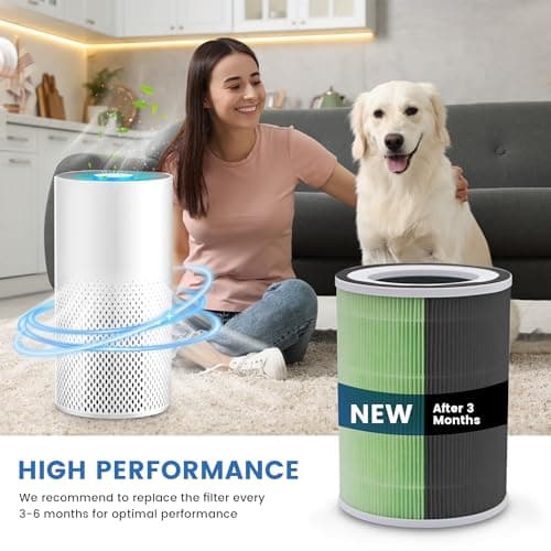 2 Pack True H13 KILO Pet Filter Compatible with Afloia KILO, KILOPLUS, KILOPRO, MIRO,MIRO PRO and MORENTO MR-Kilo, Kalo Air Purifier,360° 4-Stage Filtration, True H13 Air Filter, Green 6