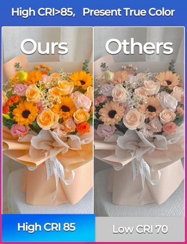 ILC RGB LED Light Bulb, Color Changing 40W Equivalent, 5700K Daylight White, 450LM 5W E26 Screw Base RGBW, Mood Light Bulb - 12 Color Choices - Timing Infrared Remote Control Included (4 Pack) 7