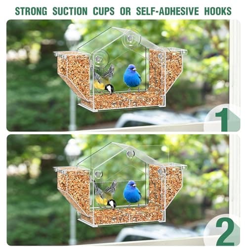 Upgraded Window Bird Feeder with Dual Side Hoppers – High Capacity Outside Birdfeeder for Window – Strong Suction Cups & Adhesive Options, Close-up Viewing for Indoor Cats & Seniors, Ideal Nature Gift 9