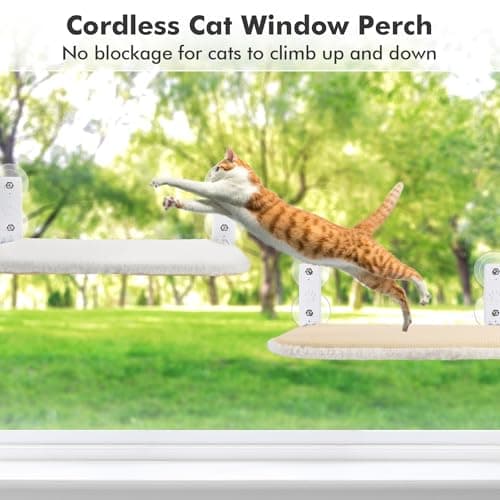 AMOSIJOY Cordless Cat Window Perch, Cat Hammock for Wall with 4 Strong Suction Cups, Solid Metal Frame and Reversible Cover, Foldable Cat Beds for Indoor Cats (Medium-White) 8
