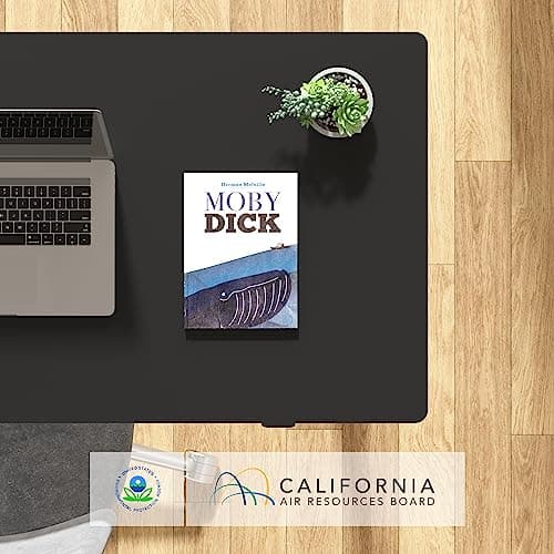 FLEXISPOT 48" x 30" Electric Standing Desk, One-Piece Desktop, White Frame & Black Top (One Box) 9