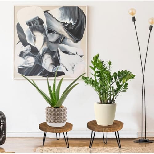 Plant Stand Indoor Outdoor, Wooden plant Stool, Mid Century Plant Stand for Indoor Plants, Wood Modern Plant Holder Rattan Flower, Low Short Boho Rustic Planter Stand Fit 5-15 Inch Pot(M) 6