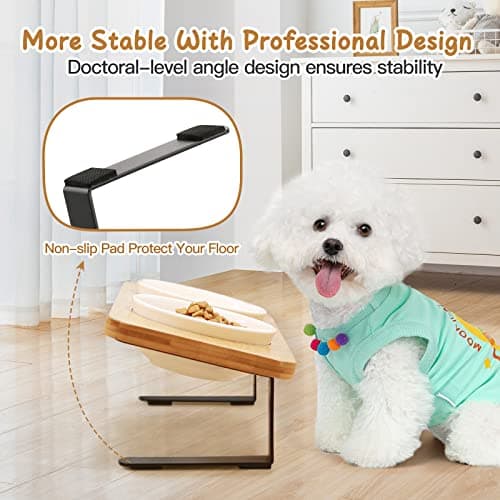 Ceramic Elevated Cat Bowls with 10° Tilted, Anti Vomiting & Whisker Friendly Food and Water Bowls with Bamboo Stand(Anti-Slip Feet), Raised Cat Food Bowls for Indoor Cats & Puppies, Dishwasher Safe 5