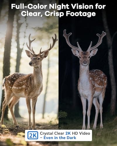 Thybro 4G LTE No WiFi Outdoor Surveillance Camera - Solar Powered, HD 2K, Motion Detection, 360° PTZ, Night Vision, Wireless, DIY Installation for Home, Farm & Business 7