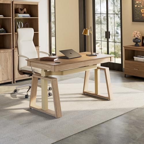 EUREKA ERGONOMIC Ark EL, 60x26 Executive Standing Desk with 3 Drawer Adjustable Height Electric Desk Stand up Desk Home Office Computer Desk with Storage Modern Workstation with Memory Controller 5