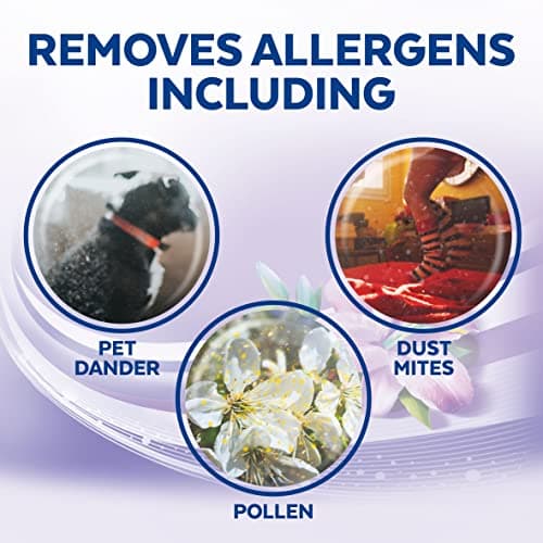 Lysol Disinfectant Wipes, Multi-Surface Antibacterial Cleaning Wipes, Dorm Room Essentials for Disinfecting and Cleaning, Early Morning Breeze, 80 Count (Pack of 6) 5