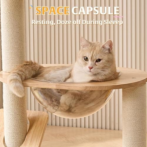 HITTITE Solid Wood Cat Tree Tower with Scratching Post, 37.8 Inches Tall Cat Towers with Scratching Board and Scratcher Ball, Modern Cat Tower With Space Capsule and Removable Top Bed for Indoor Cats. 5