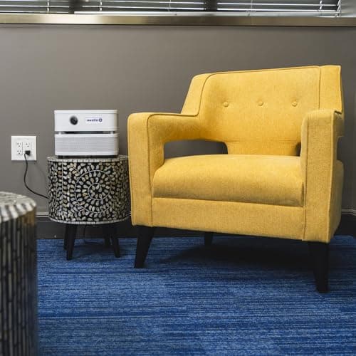 Austin Air it Room Air Purifier with VOC Carbon Wrap Air Filters - Personal Air Filter Single Room Air Purifiers - Portable Allergy Purifier - Stylish Tabletop Purifier for Dust, Model C100CC1 7