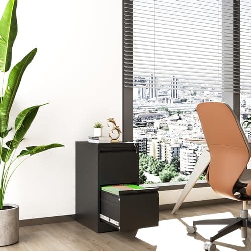 VIYET 2 Drawer File Cabinet,Metal Filing Cabinets with Lock,Black Vertical File Cabinet for Home Office,Heavy Duty Metal Storage Cabinet for A4/Letter/Legal Size File,Assembly Required 2