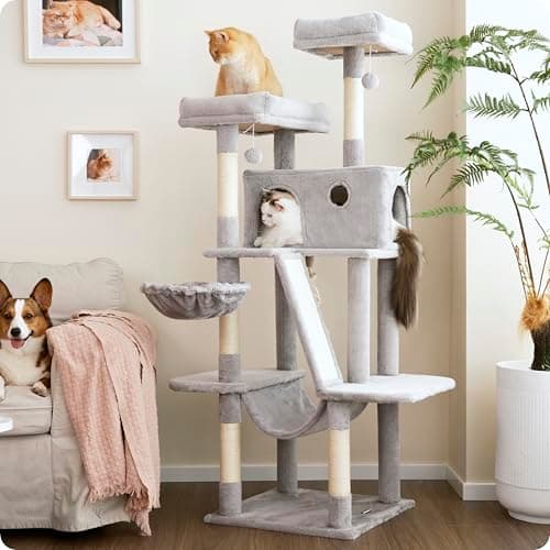 Ouritsu Cat Tree, 61 inch Tall Cat Tower for Large Cat Indoor, Enlarged Condo, 2 Padded Perches with 1 Widened, Large Hammock, Scratching Post and ramp, Fluffy Basket, Light Gray, LF002GA