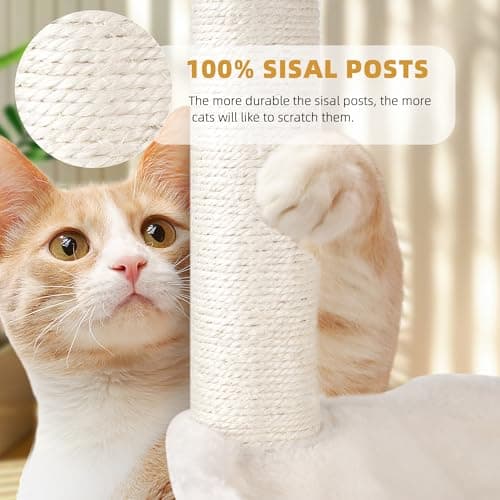 YOUPET 33.46in Cat Tree with Cat Condo and Scratching Post for Indoor Cats,Cat Tower Indoor Climbing Activity with Scratching Posts, Multi-Level,Cat Furniture with Two Big Hammock,Beige 6