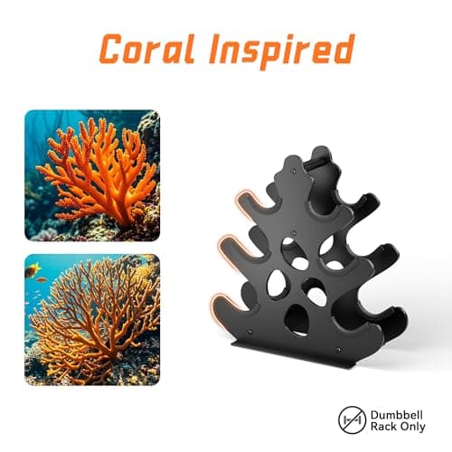 3 Tier Dumbbell Rack, Weight Rack For Home Gym, Dumbbell Stand for Free Weights 6