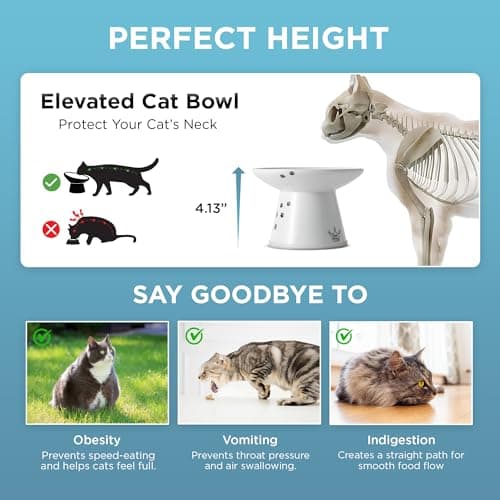 Necoichi Raised Cat Food Bowl – Ceramic Elevated Cat Bowl for Whisker & Neck Fatigue, Dishwasher Microwave Safe – Non-Slip & Anti Vomiting Ergonomic Design (Cats, Extra Wide, 2-Cups Capacity) 6
