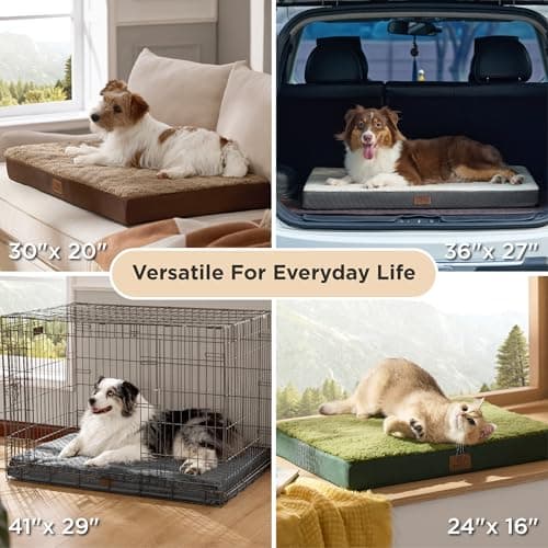 Bedsure Dog Beds Large Sized Dog - Comfy Flat Pet Beds with Removable Washable Cover, Orthopedic Egg Crate Foam Puppy Mat, Suitable for Pet Up to 65 lbs 9